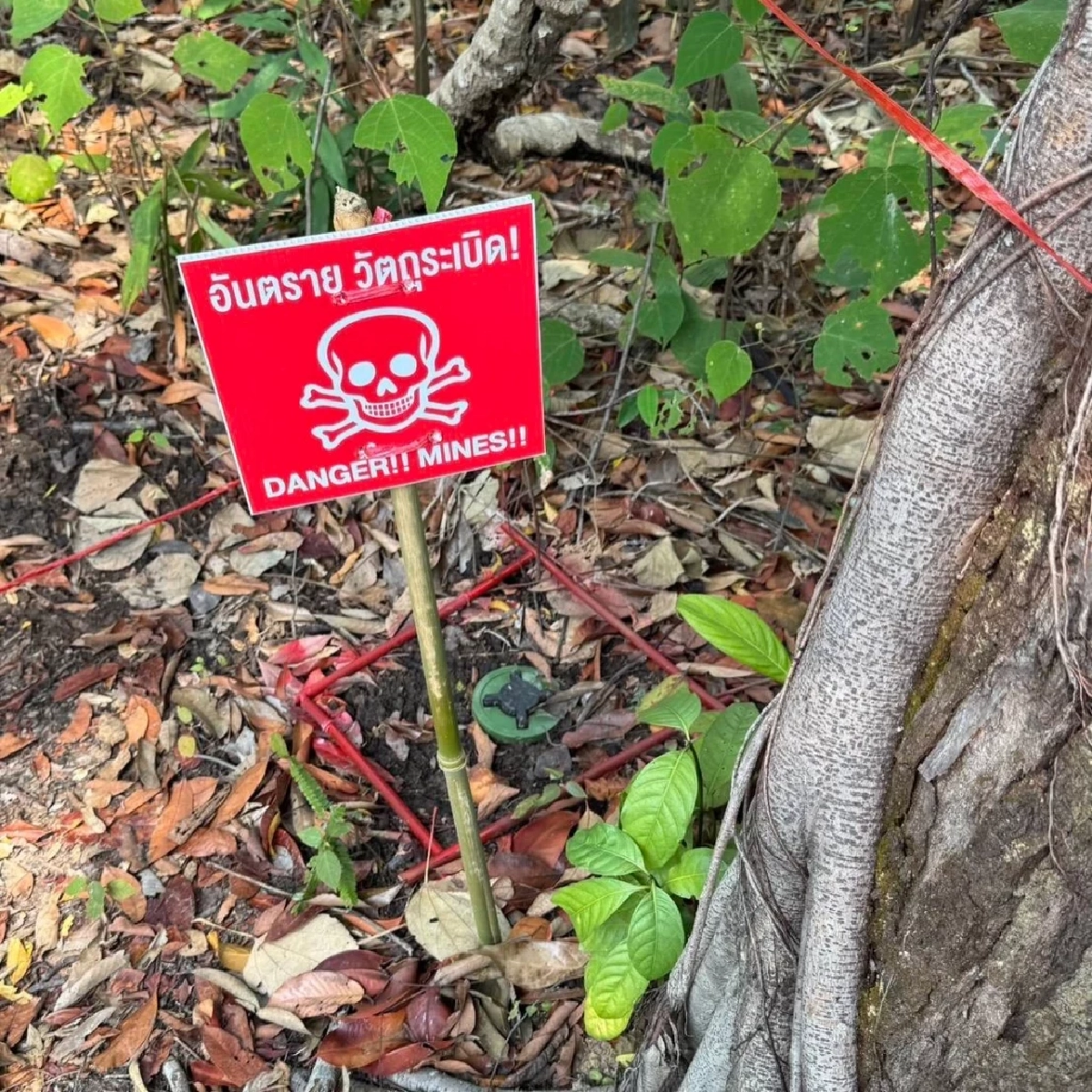 เจออีก! ไทยพบหลักฐานชัด กัมพูชาลอบวางทุ่นระเบิดในแผ่นดินไทย