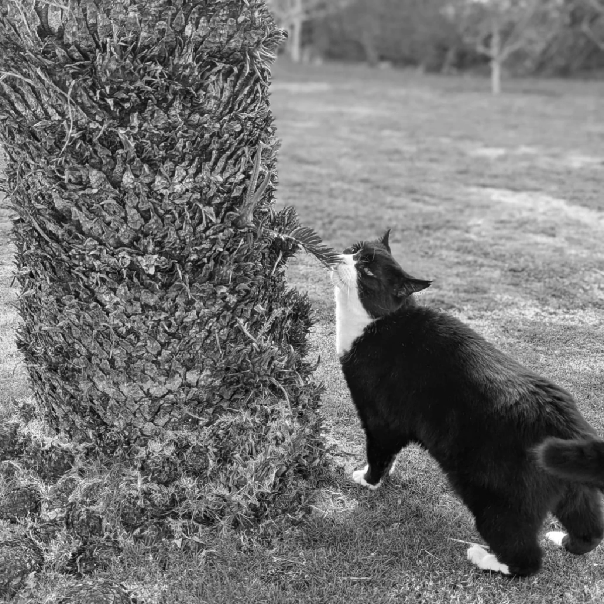 ภาพ UK in Thailand