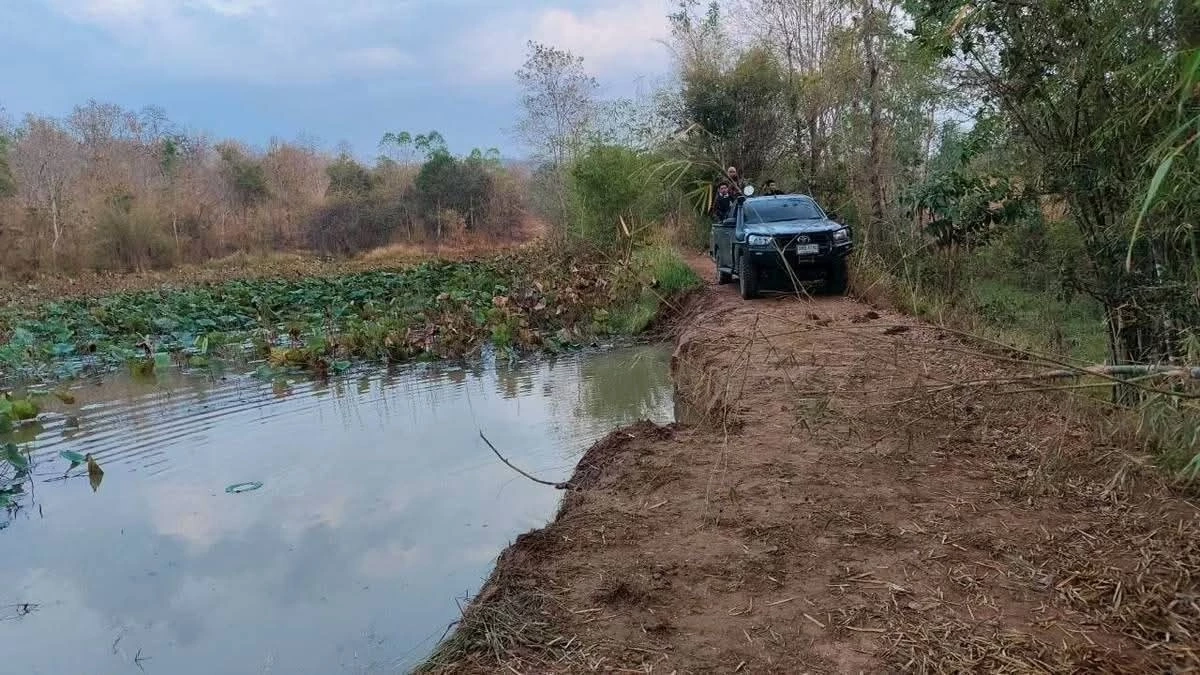 สั่งสกัดฝูงช้างป่า 24 ตัว บุกถนนสายหลัก หวั่นทะลักภูเวียง