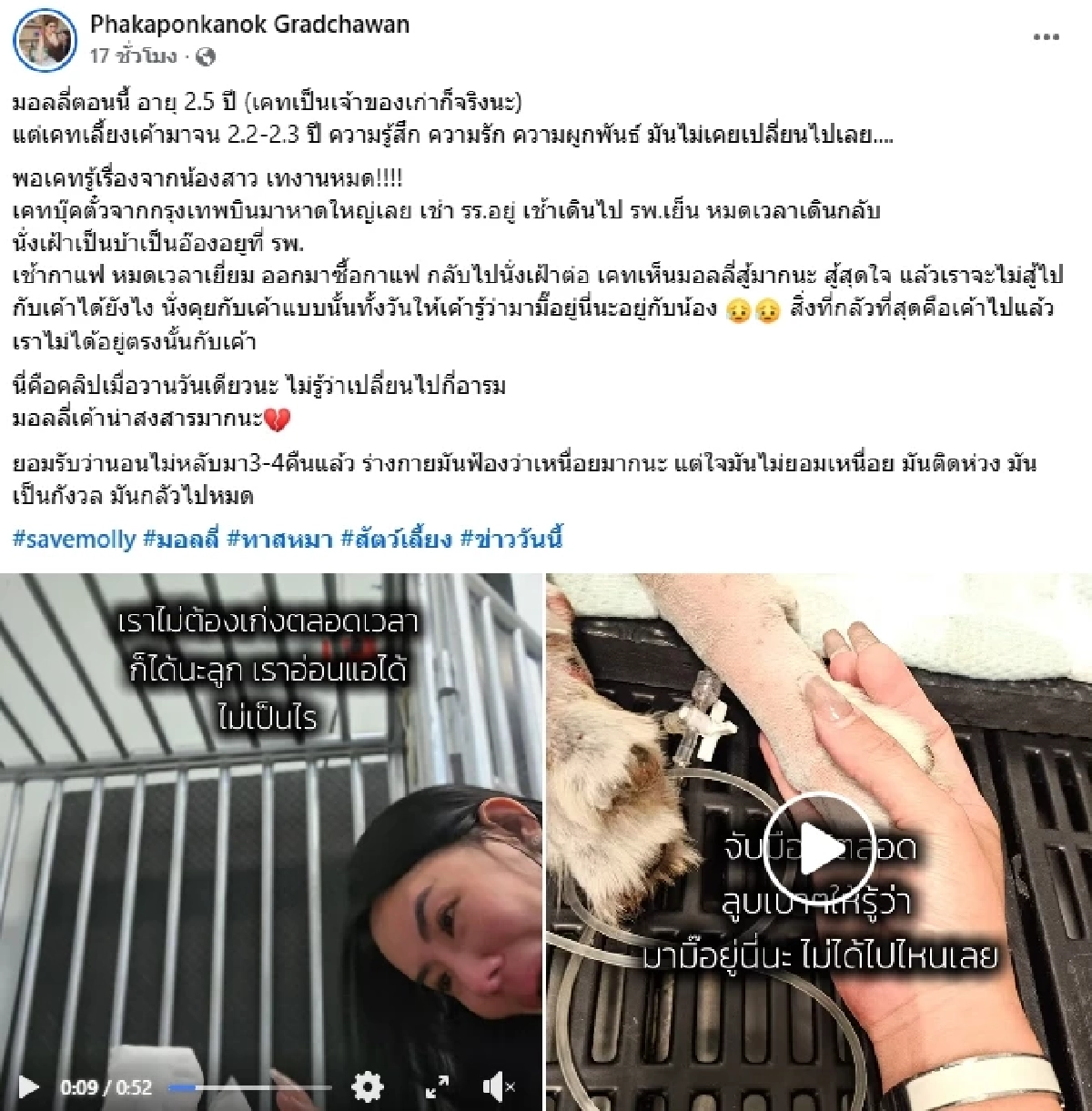 เจ้าของเก่า "มอลลี่" ใจสลาย ห่วงอีกหนึ่งชีวิตอาจรับไม่ไหว