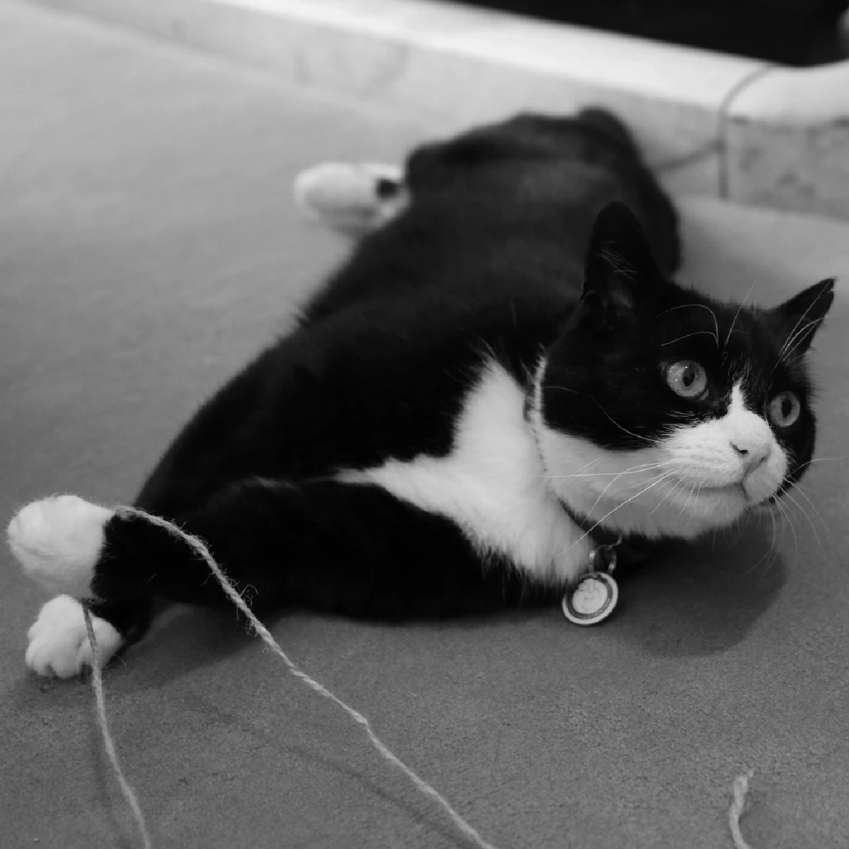 ภาพ UK in Thailand