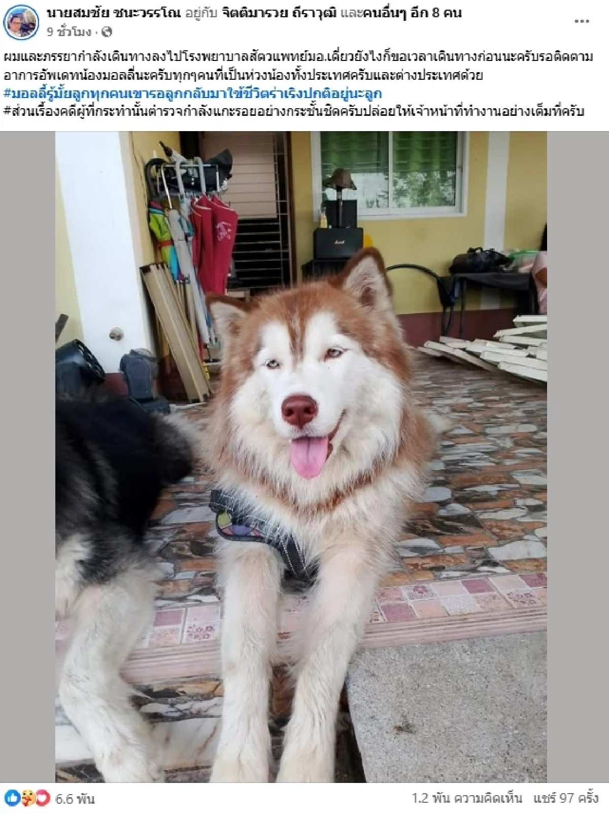 เผยอาการล่าสุด "มอลลี่" ยังน่าห่วง ล่าสุดรู้ตัวผู้ต้องสงสัยแล้ว