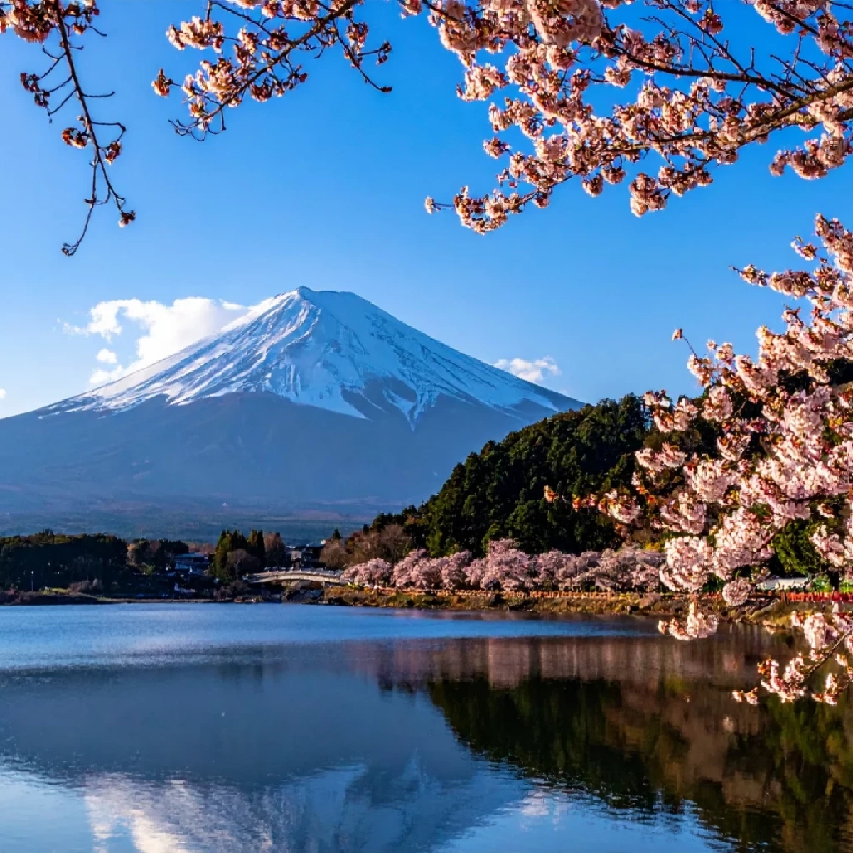 ญี่ปุ่นทุบสถิติปี 68 ต่างชาติเที่ยว 42 ล้านคน ไทยนิวไฮ 1.2 ล้าน