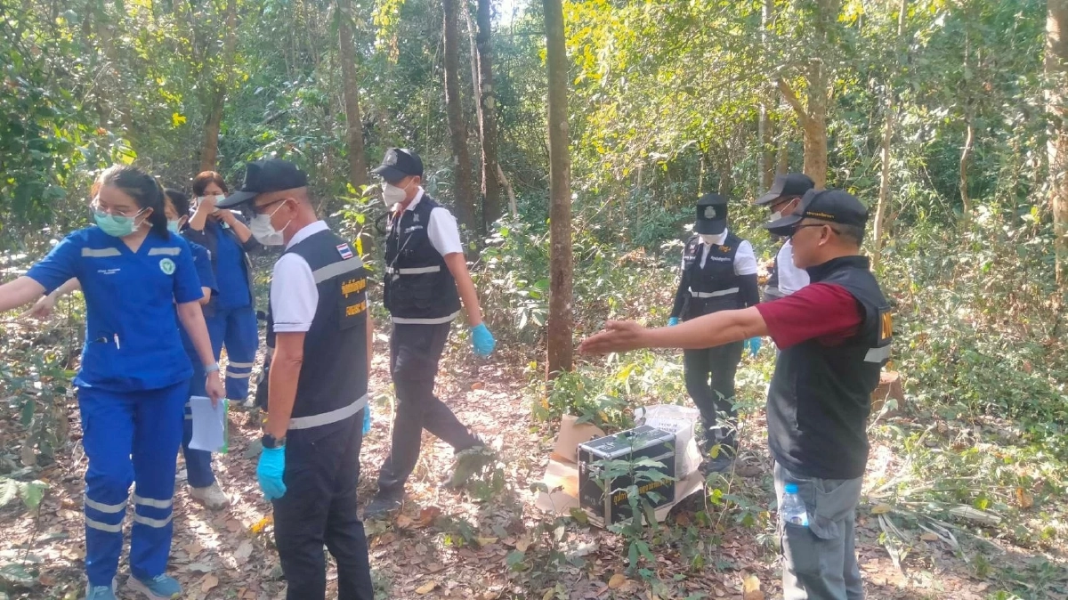 พบชายวัย 53 ปี เสียชีวิตในป่าดงลาน คาดฝีมือช้างป่าทำร้าย