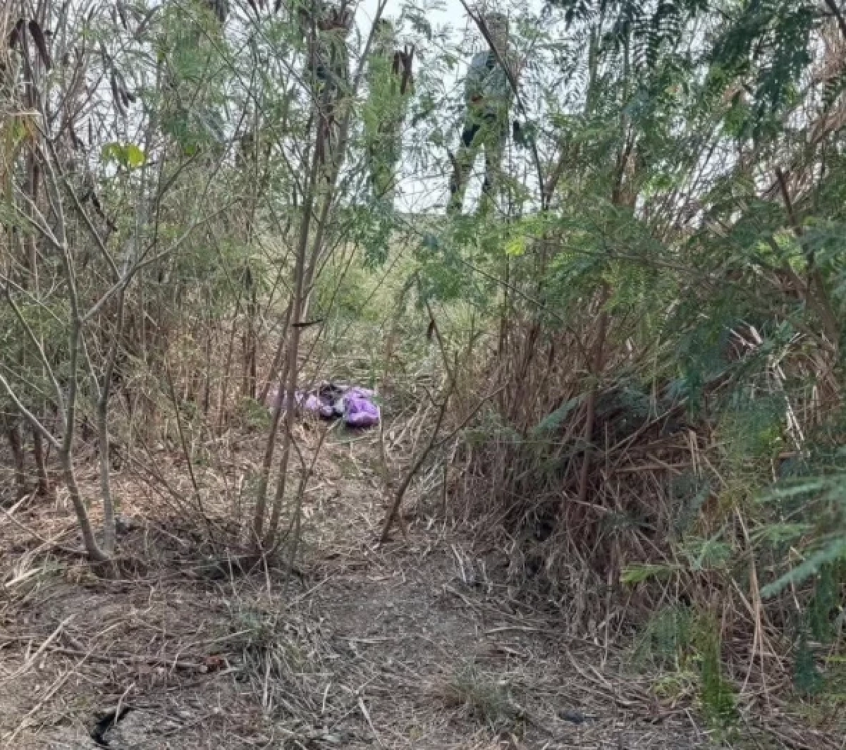 เปิดเบาะแสสำคัญ หนูน้อย 5 ขวบดับปริศนา ผมไม่มีเหมือนคนอื่น