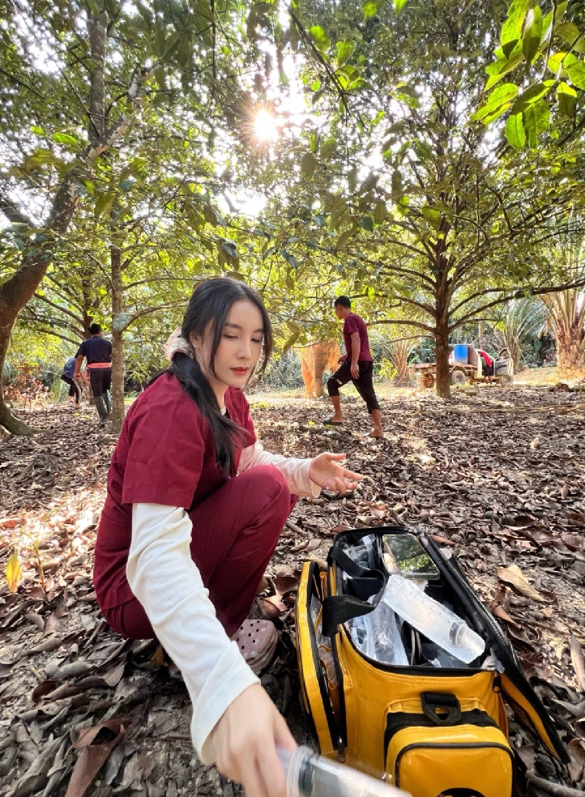 นาทีชีวิต! ช้างพลายตกเขาขาหัก ขยับไม่ได้ หมอโบว์เร่งช่วย