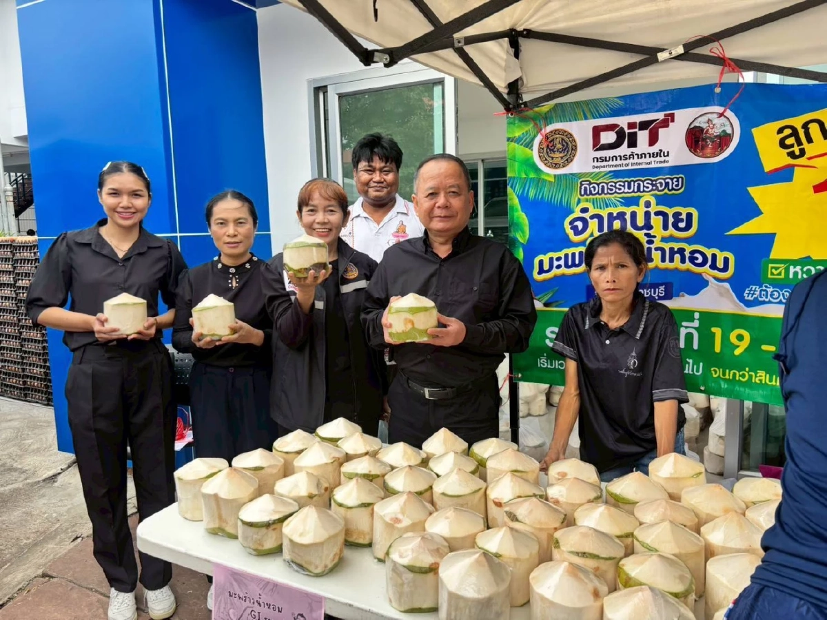 อุ้มราคามะพร้าวน้ำหอม DIT รับซื้อ 2 ล้านลูก กลาง-ใต้ ดันขายทั่วไทย