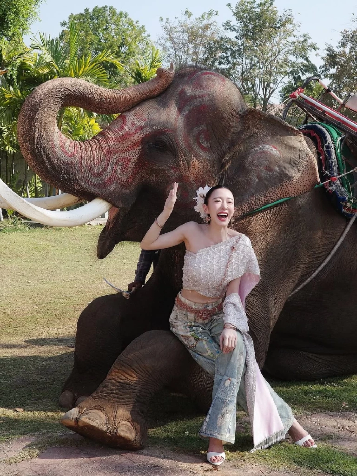 “มายด์ ณภศศิ” นั่งงาช้างถ่ายคลิป  แต่คอมเมนต์ห่วงสวัสดิภาพสัตว์