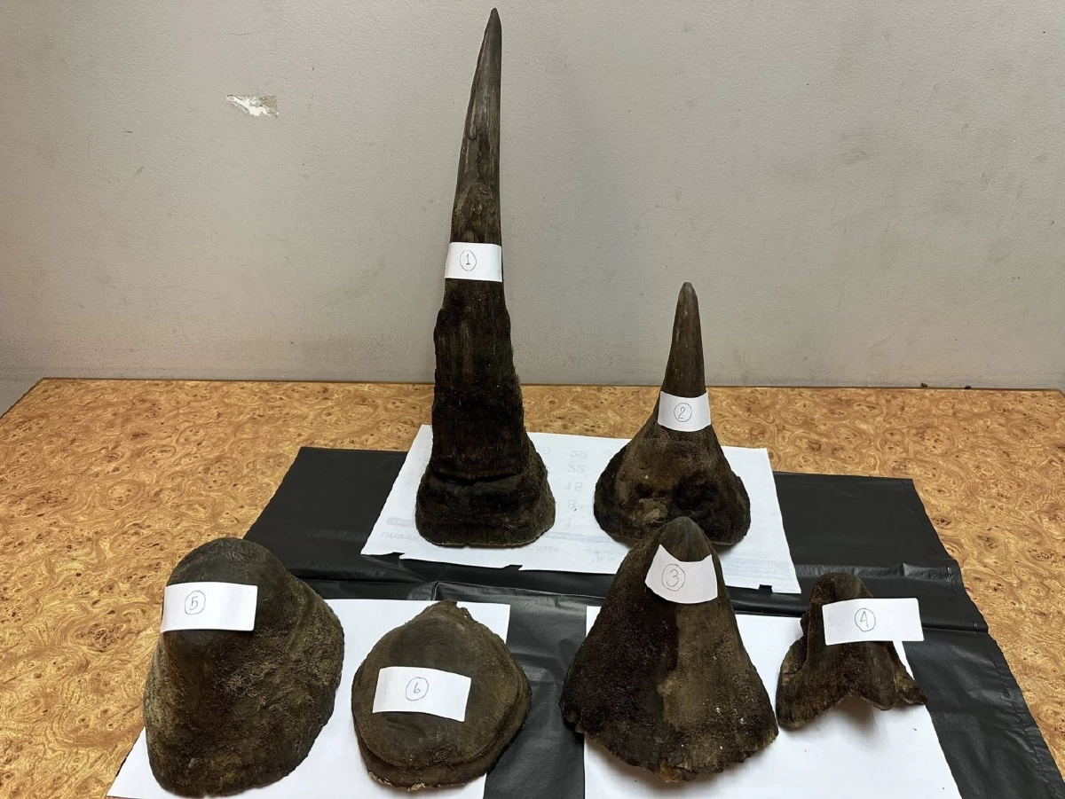 สกัดจับหนุ่มเวียดนามลักลอบขน "นอแรด" คาด่านสุวรรณภูมิ