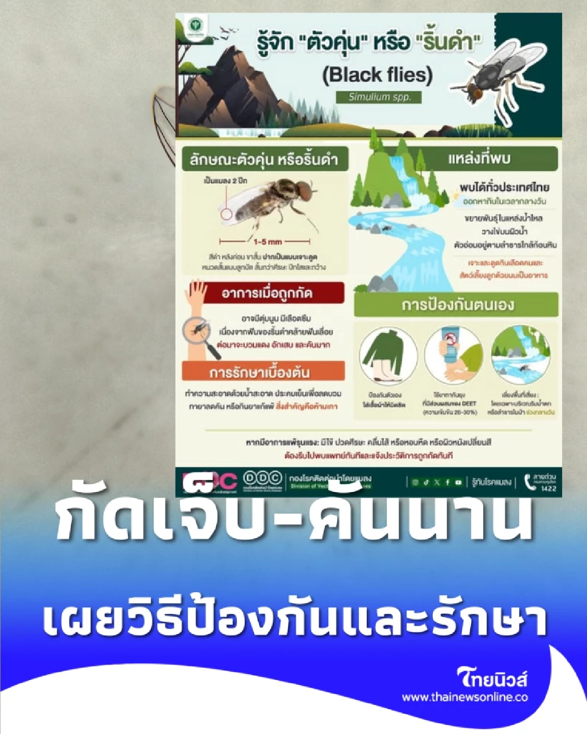 ระวัง ตัวคุ่น ภัยเงียบริมน้ำตก กัดเจ็บ-คันนาน เผยวิธีป้องกันและรักษา