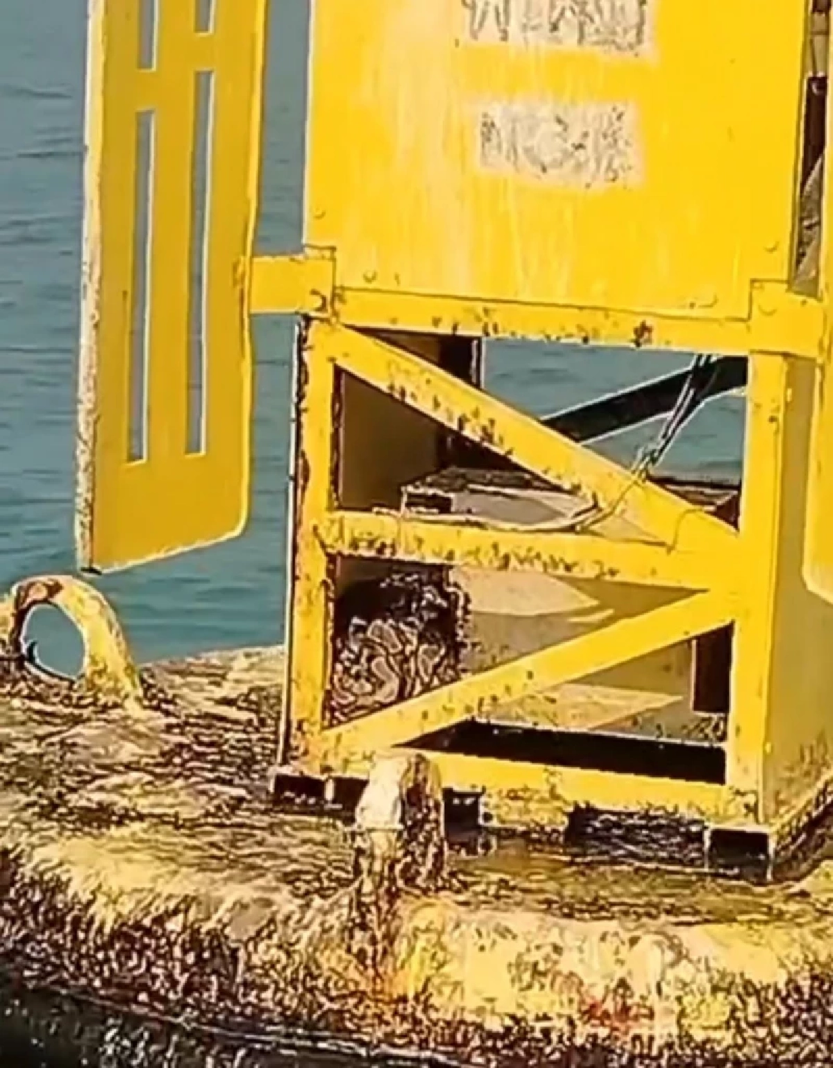 ทุกชีวิตมีค่า ไต๋เรือพัทยาช่วยงูเหลือมยักษ์ติดทุ่นกลางทะเล