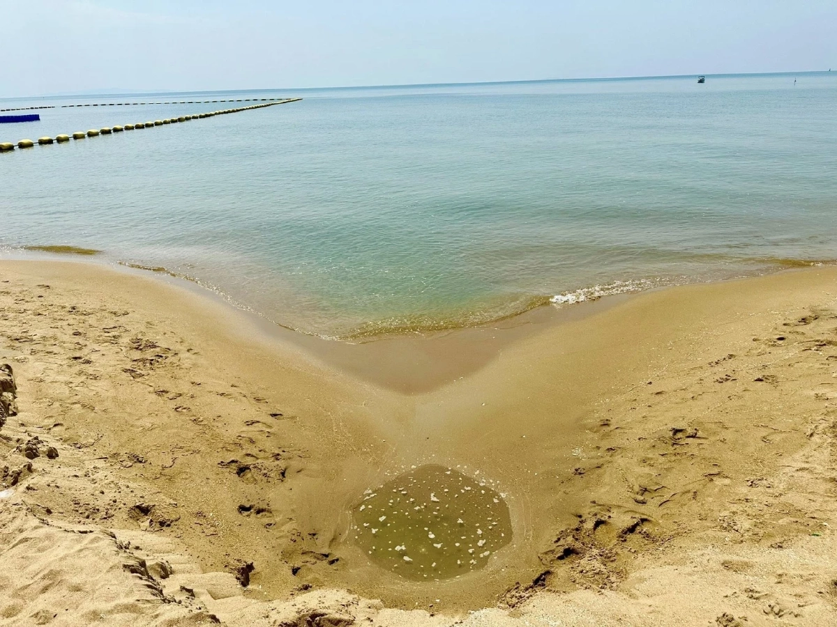 กรมทะเลเร่งสอบกรณีปล่อยน้ำทิ้งสีดำลงทะเลหาดจอมเทียน