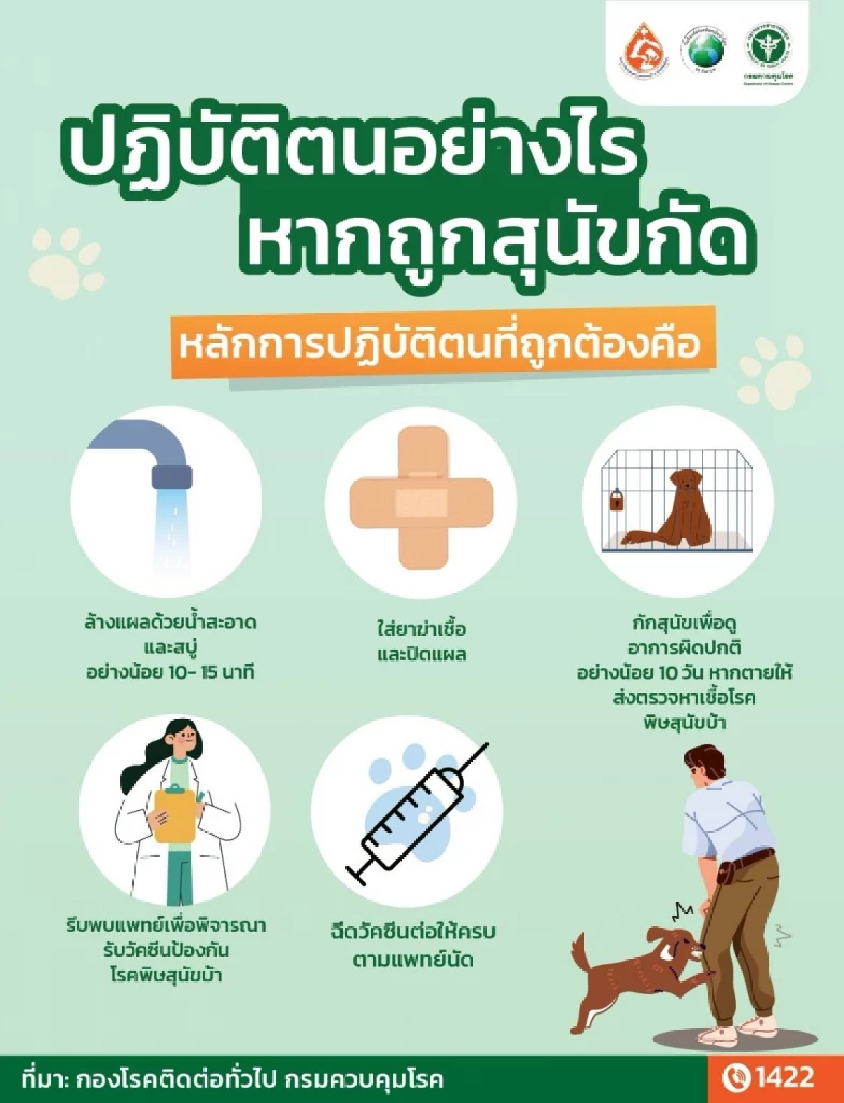 อันตรายถึงเสียชีวิต เผย "5 ย." คาถากันโรคพิษสุนัขบ้าที่ต้องรู้