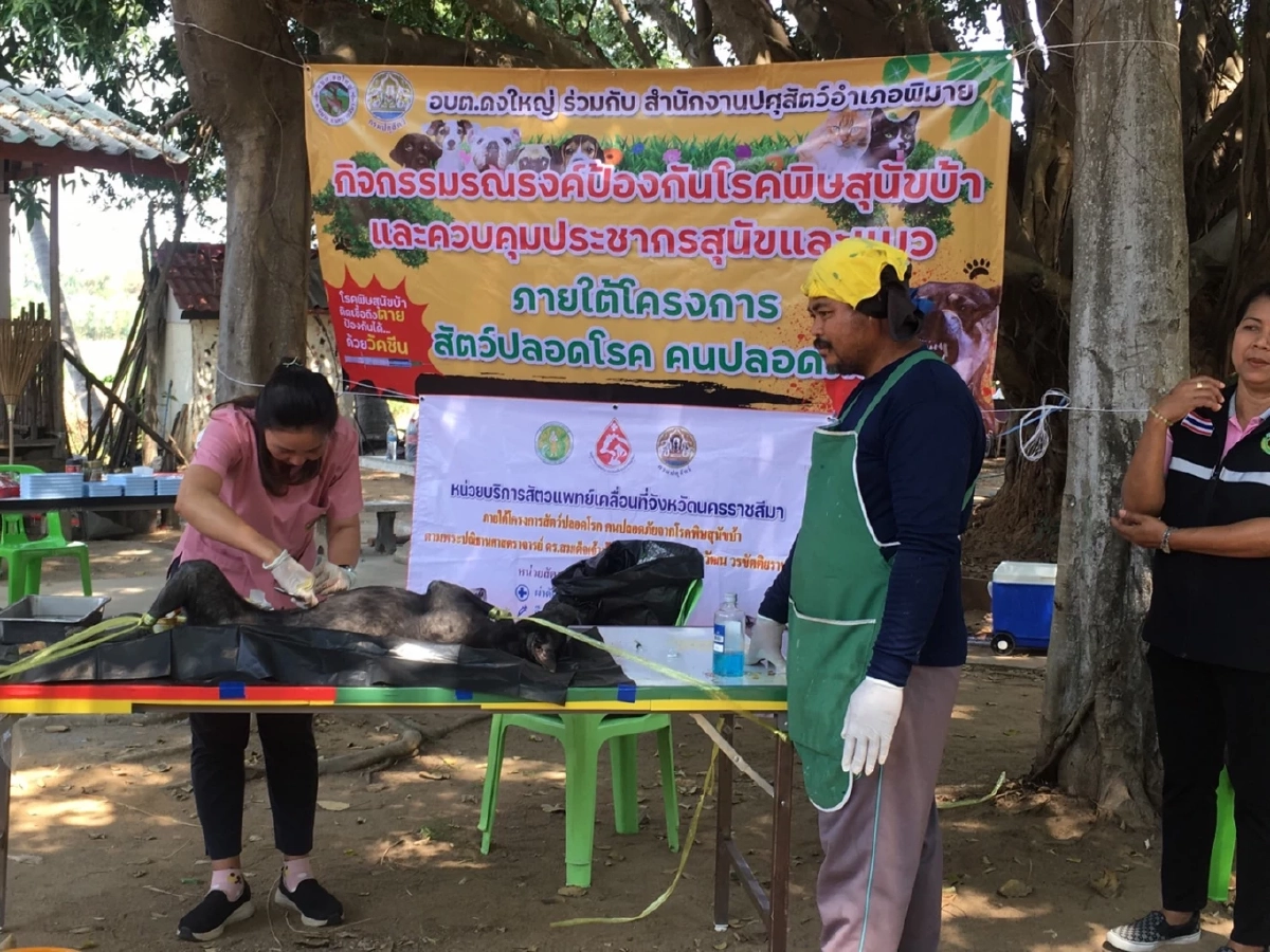 สธ.โคราชยืนยันพบผู้เสียชีวิตจาก โรคพิษสุนัขบ้า รายแรกปี 69