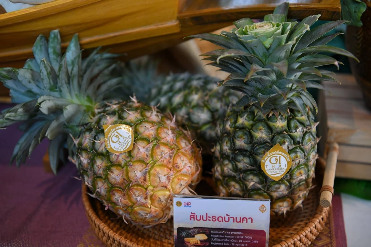 "ราชบุรี"ผงาด ดัน GI ไทยครองใจตลาดโลก กรมทรัพย์สินทางปัญญา ชู คุณภาพนำ การตลาดเสริม