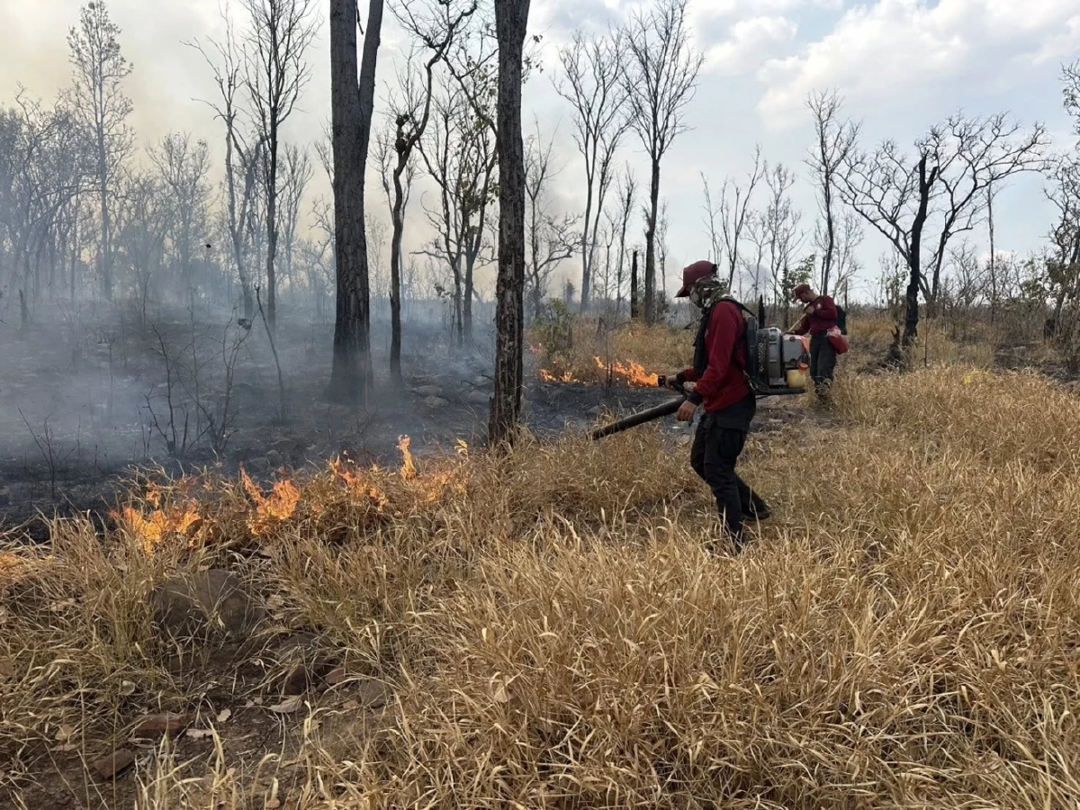 ระดมกำลังคุมไฟป่าวังน้ำเขียวสำเร็จ เสียหายกว่า 5,000 ไร่