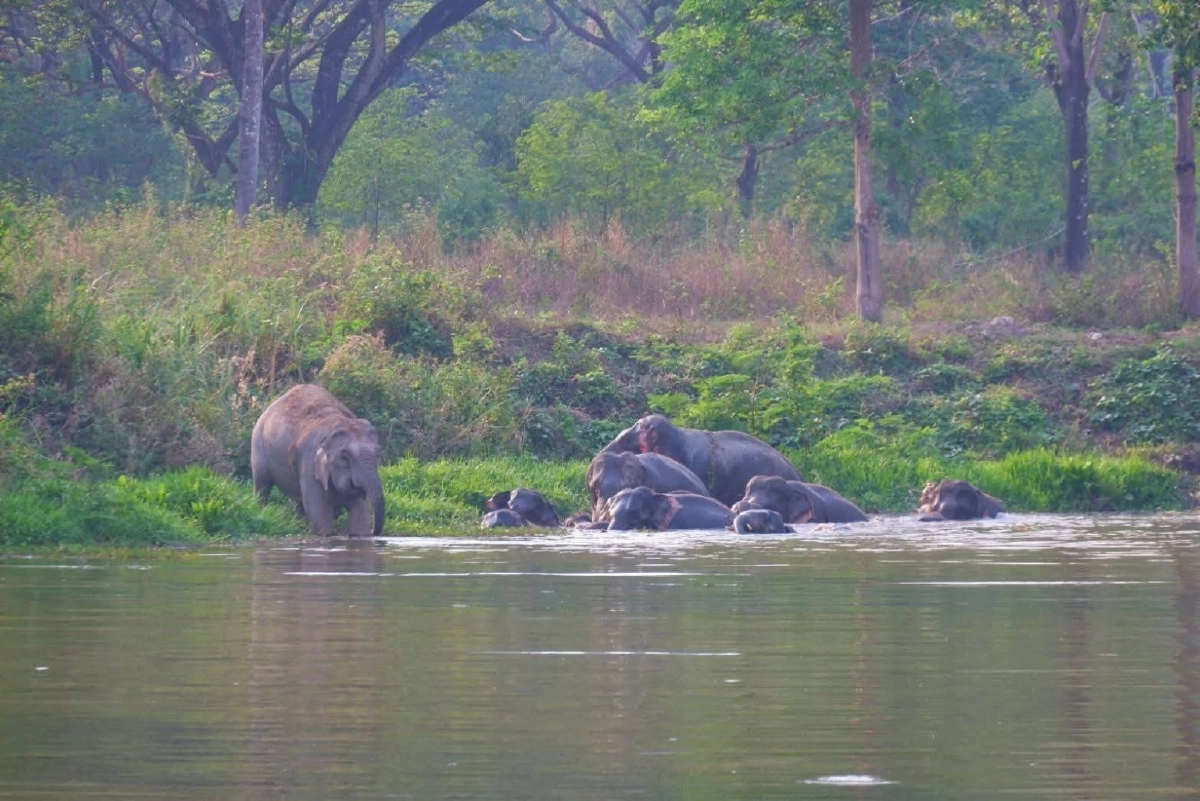 สบอ.1 รุกสร้างบ่อน้ำเขาใหญ่ แก้ปัญหาสัตว์ป่ารบกวนชุมชน