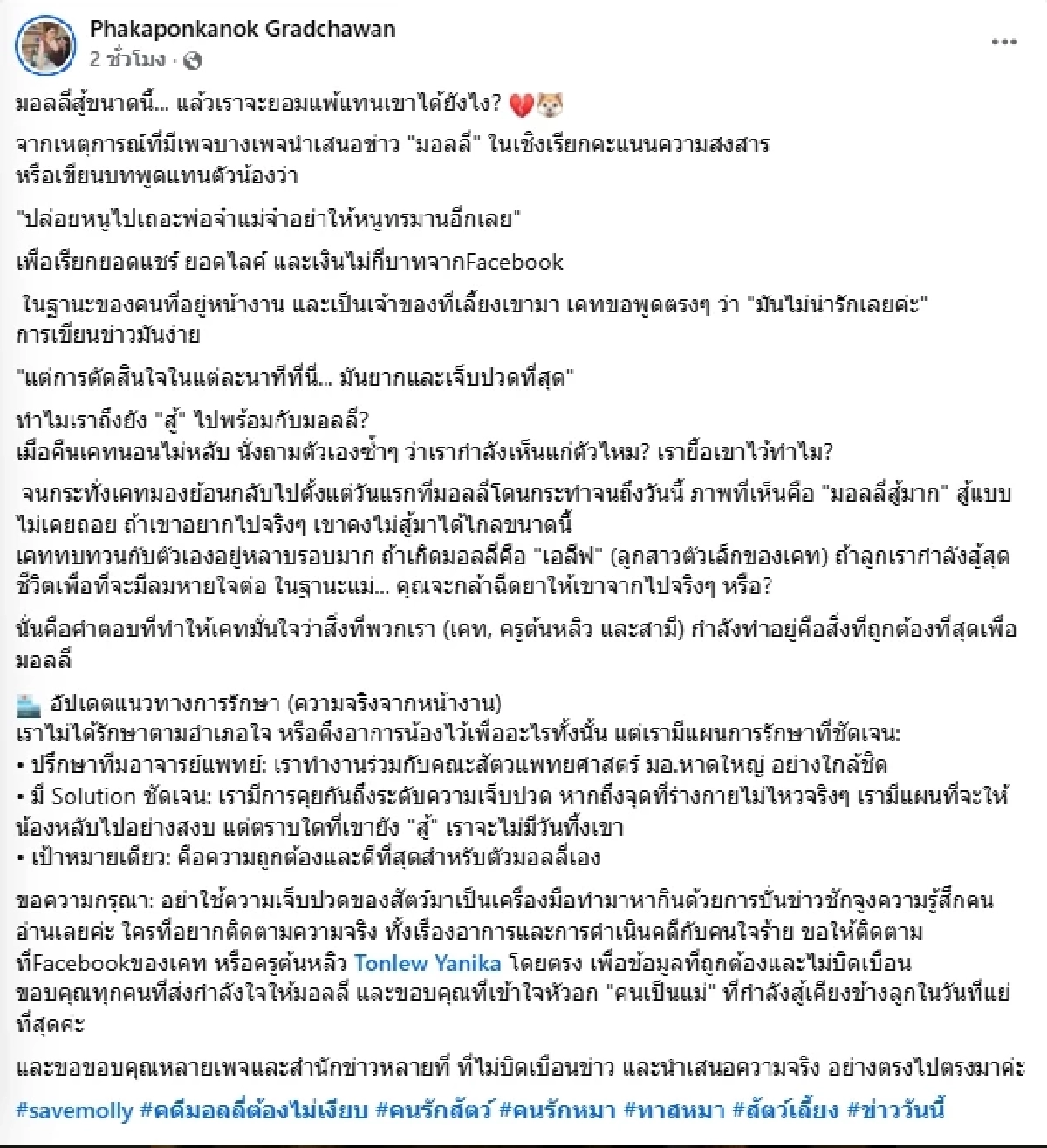 เปิดค่ารักษา น้องมอลลี่ เจ้าของลั่นสู้ขนาดนี้ จะยอมแพ้ได้ยังไง