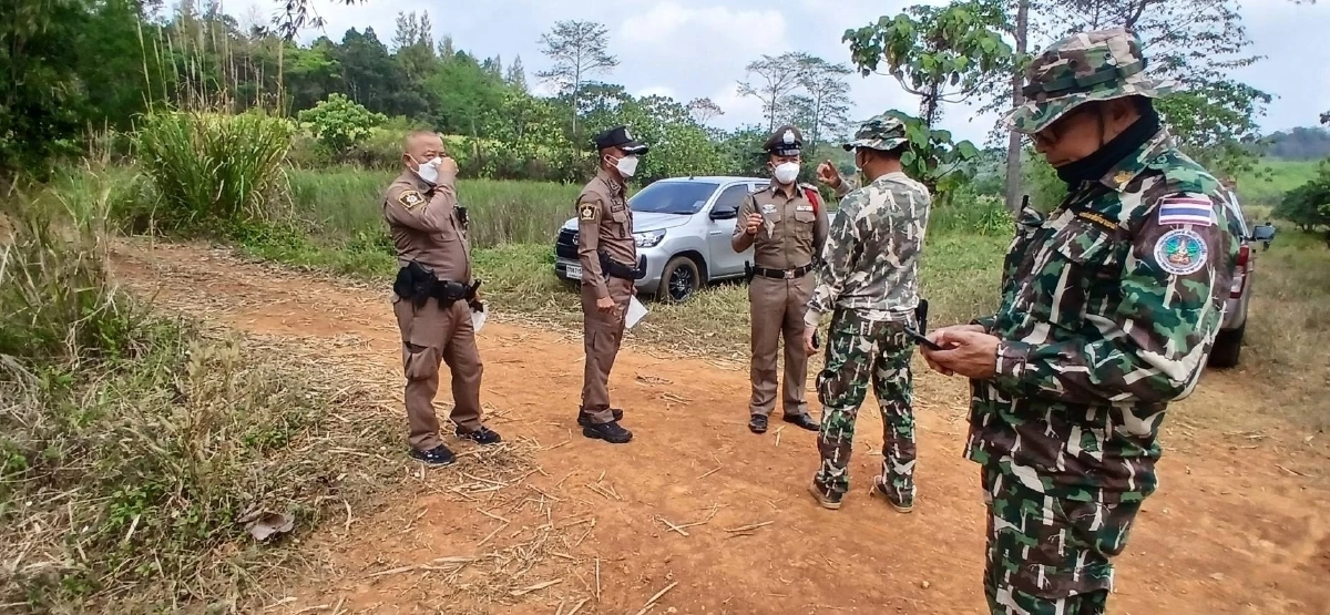 พบซากกระทิงป่าเขาใหญ่ดับที่วังน้ำเขียว คาดสู้กันเองจนเขาหัก