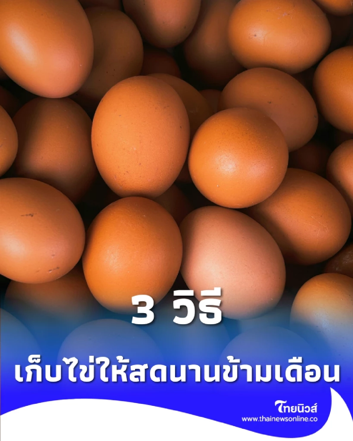 3 วิธ๊เช็กไข่เก่าหรือใหม่ เช็กให้ชัวร์ใน 10 วินาที พร้อมทริคเก็บไข่ให้สดนานข้ามเดือน