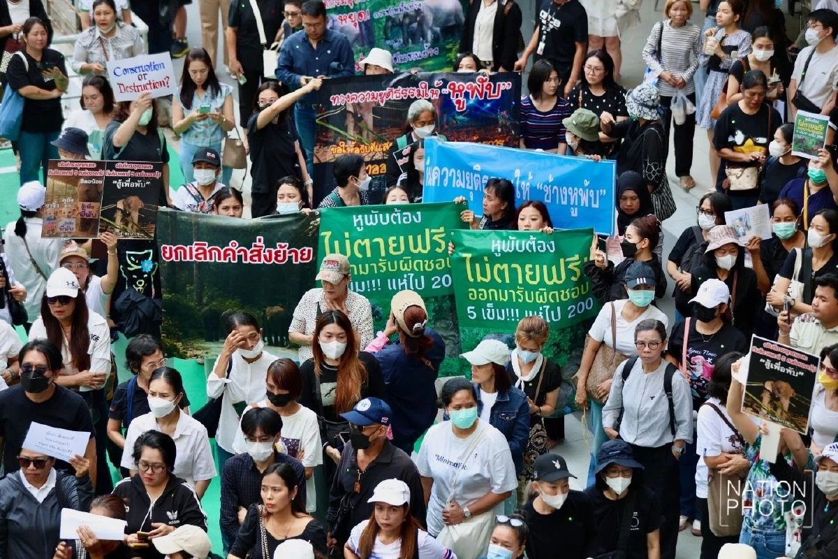 คนรักช้างบุกกรมอุทยานฯ จี้อธิบดีลาออก รับผิดชอบกรณีสีดอหูพับล้ม