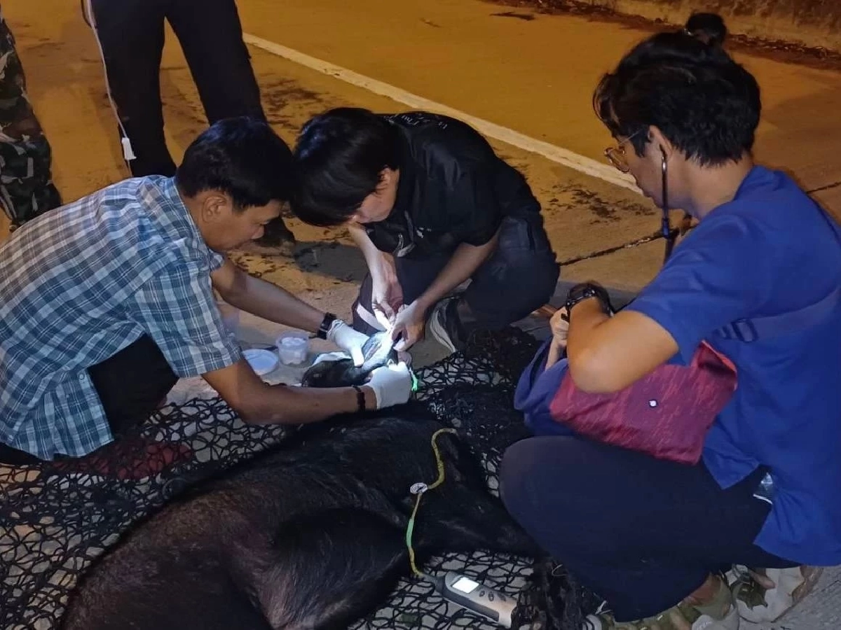 นาทีระทึก! ช่วยเลียงผาติดบ่วงสลิง ขาขวาบาดเจ็บหนัก