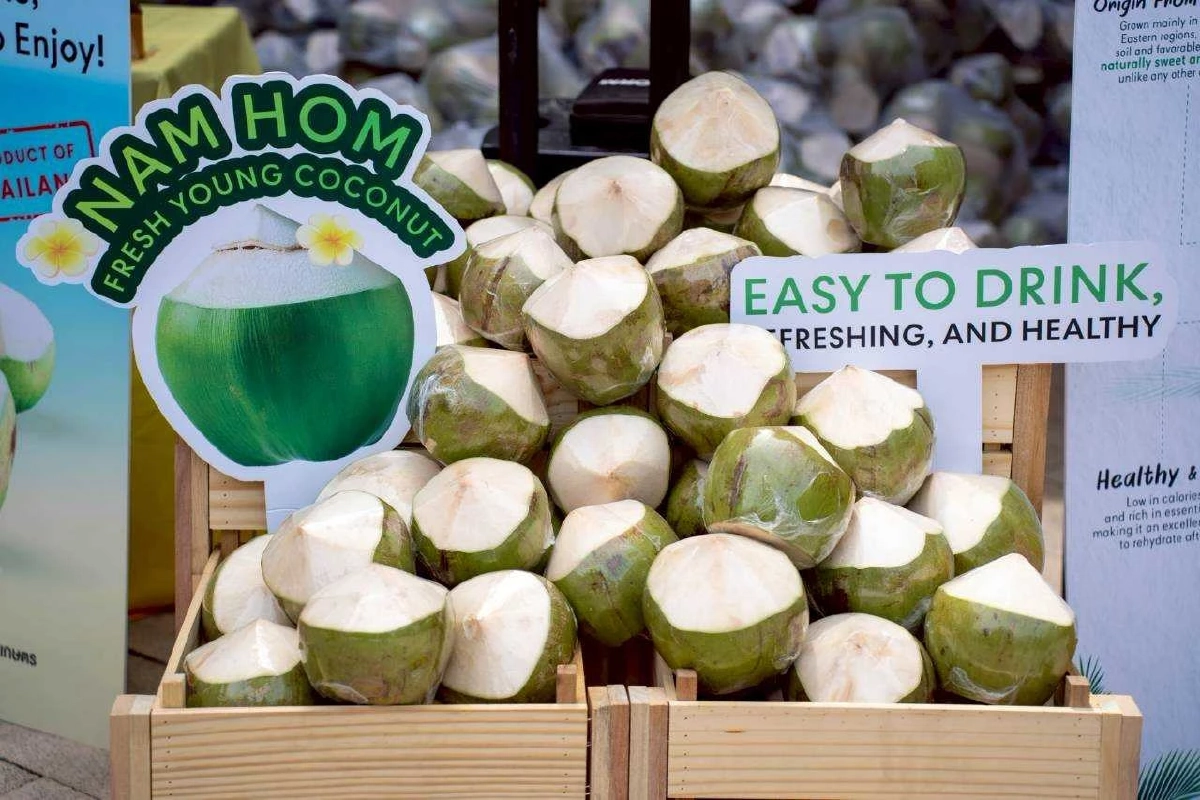 อุ้มราคามะพร้าวน้ำหอม DIT รับซื้อ 2 ล้านลูก กลาง-ใต้ ดันขายทั่วไทย