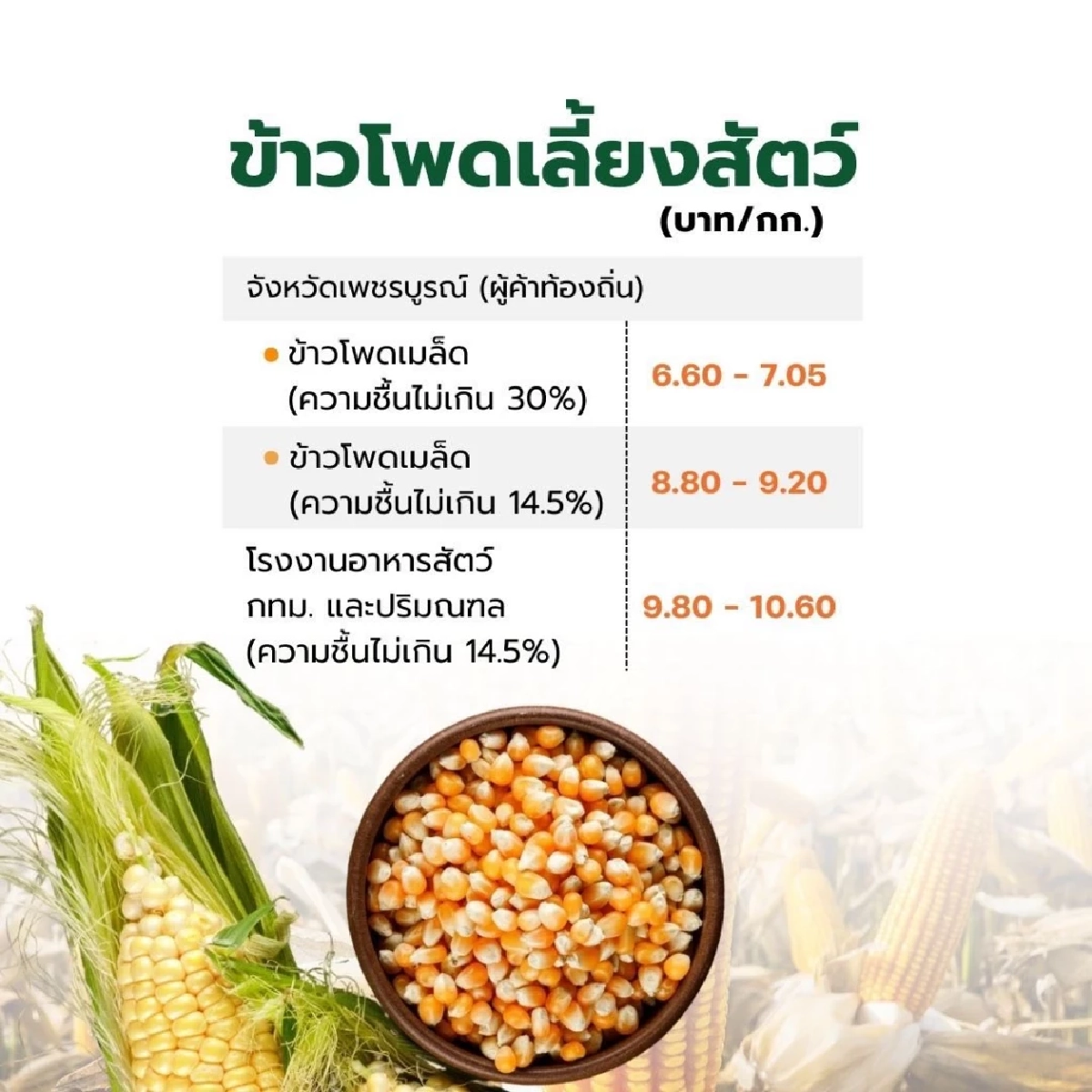 อัปเดตราคาสินค้าเกษตร 19 ก.พ. 2569 พืชเศรษฐกิจหลัก 4 รายการ