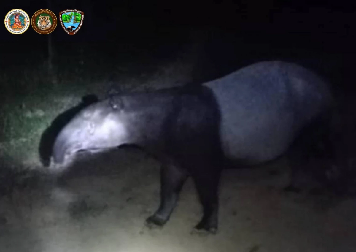 ที่มา : กรมอุทยานแห่งชาติ สัตว์ป่า และพันธุ์พืช