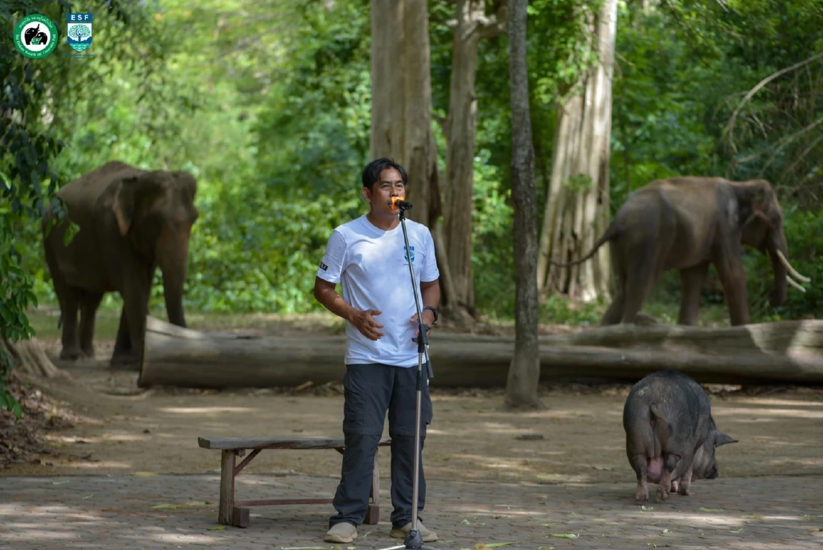 ภาพ @Alongkot Chukaew