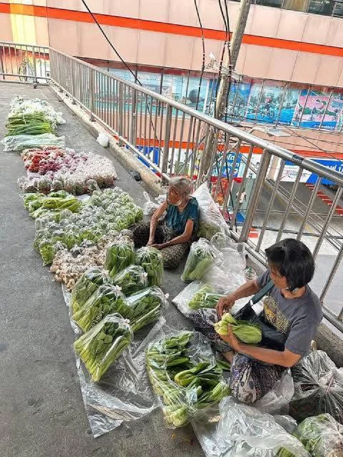 เปิดเบื้องลึก คุณยายวัย 87 ปี ไวรัลขนผักซ้อนจยย.ยิ่งรู้ยิ่งสงสาร