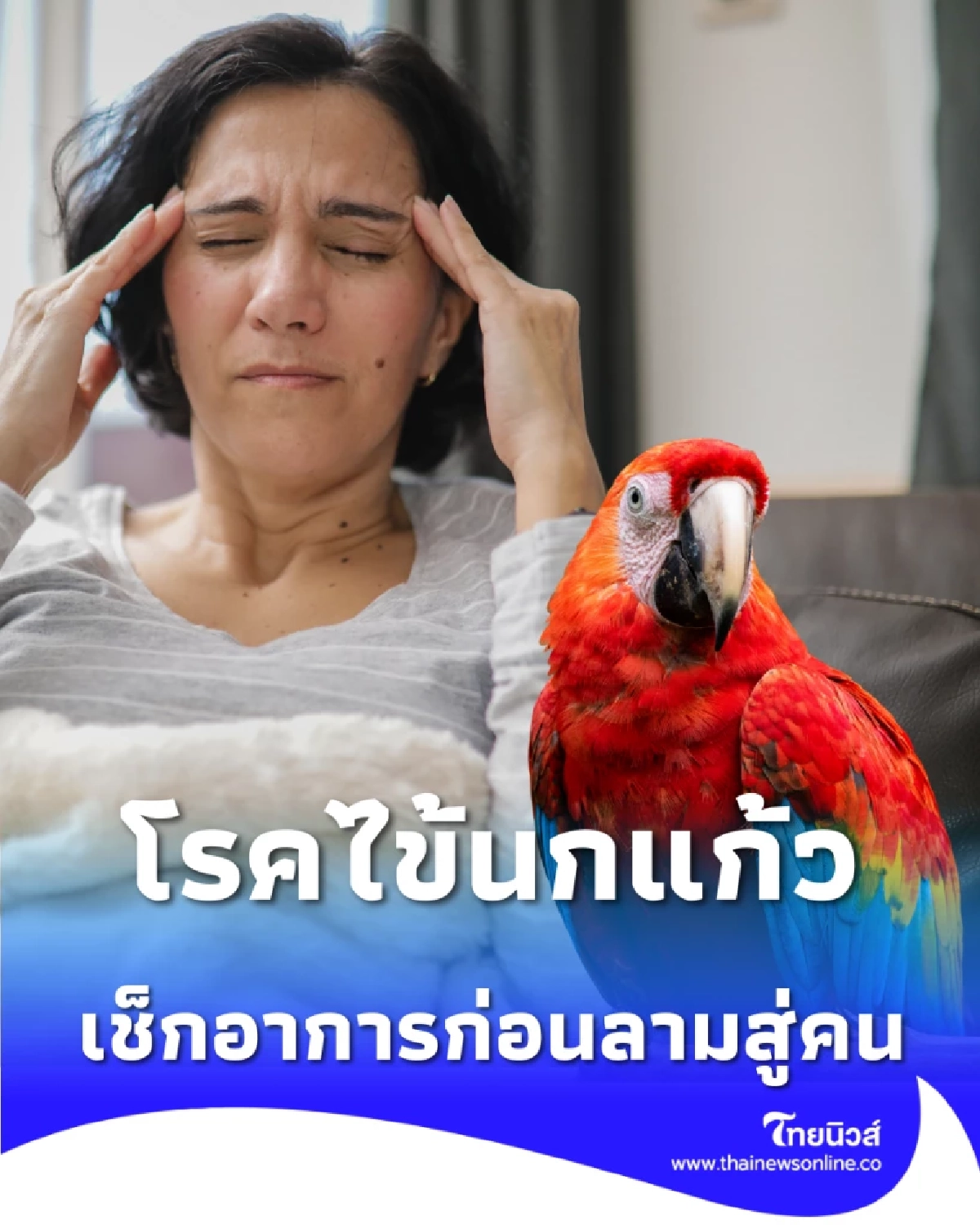 รู้จักโรคไข้นกแก้ว เชื้อร้ายใกล้ตัวที่ไม่ได้เกิดแค่กับนก เช็กอาการก่อนลามสู่คน