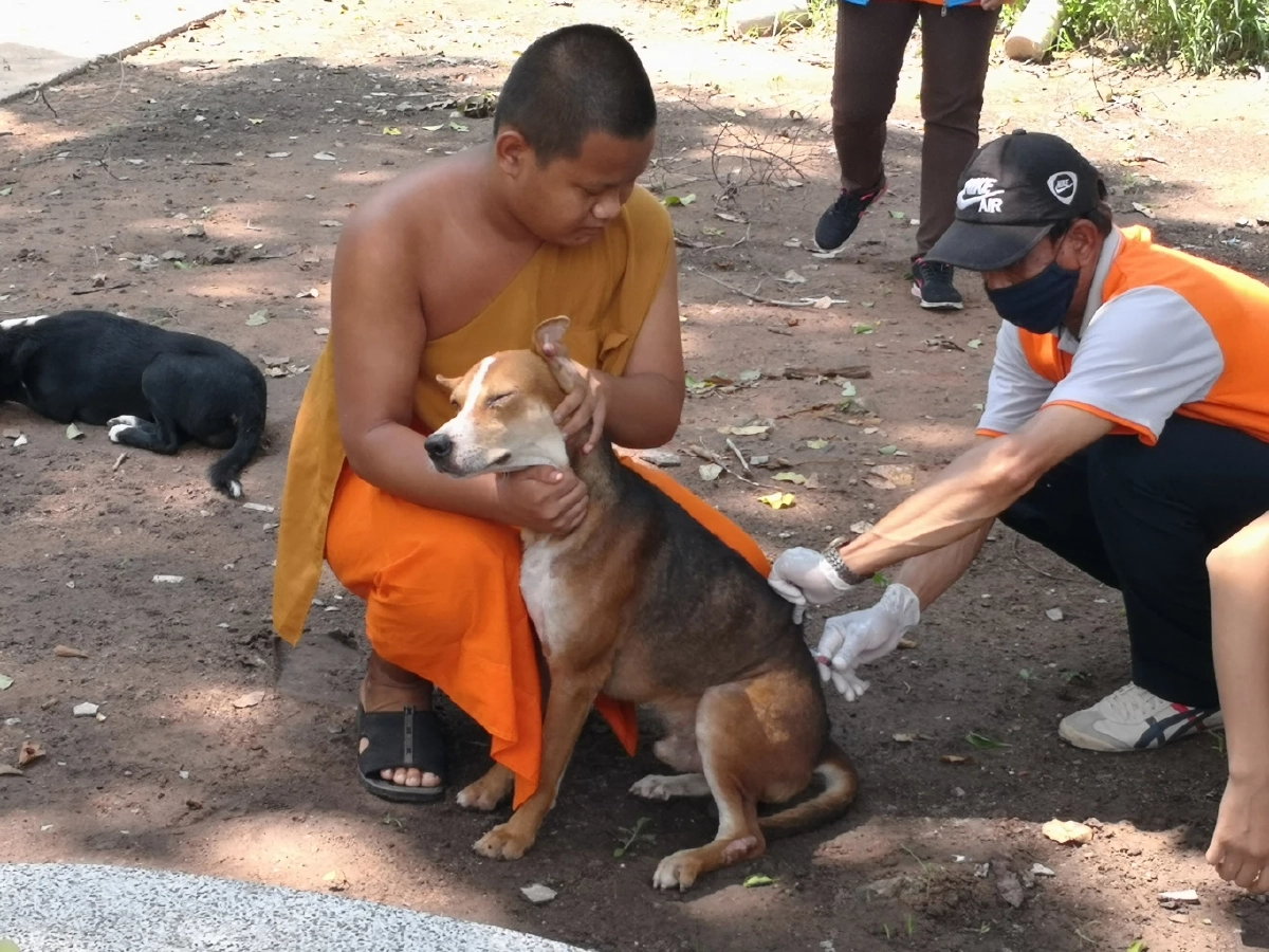 เปิด 10 พื้นที่ในเขตดินแดง บริการฉีดวัคซีนพิษสุนัขบ้า ฟรี!