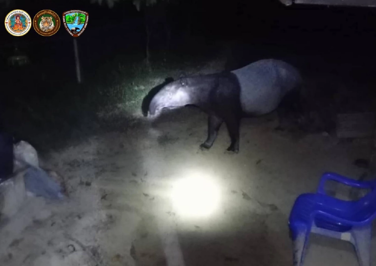 ที่มา : กรมอุทยานแห่งชาติ สัตว์ป่า และพันธุ์พืช