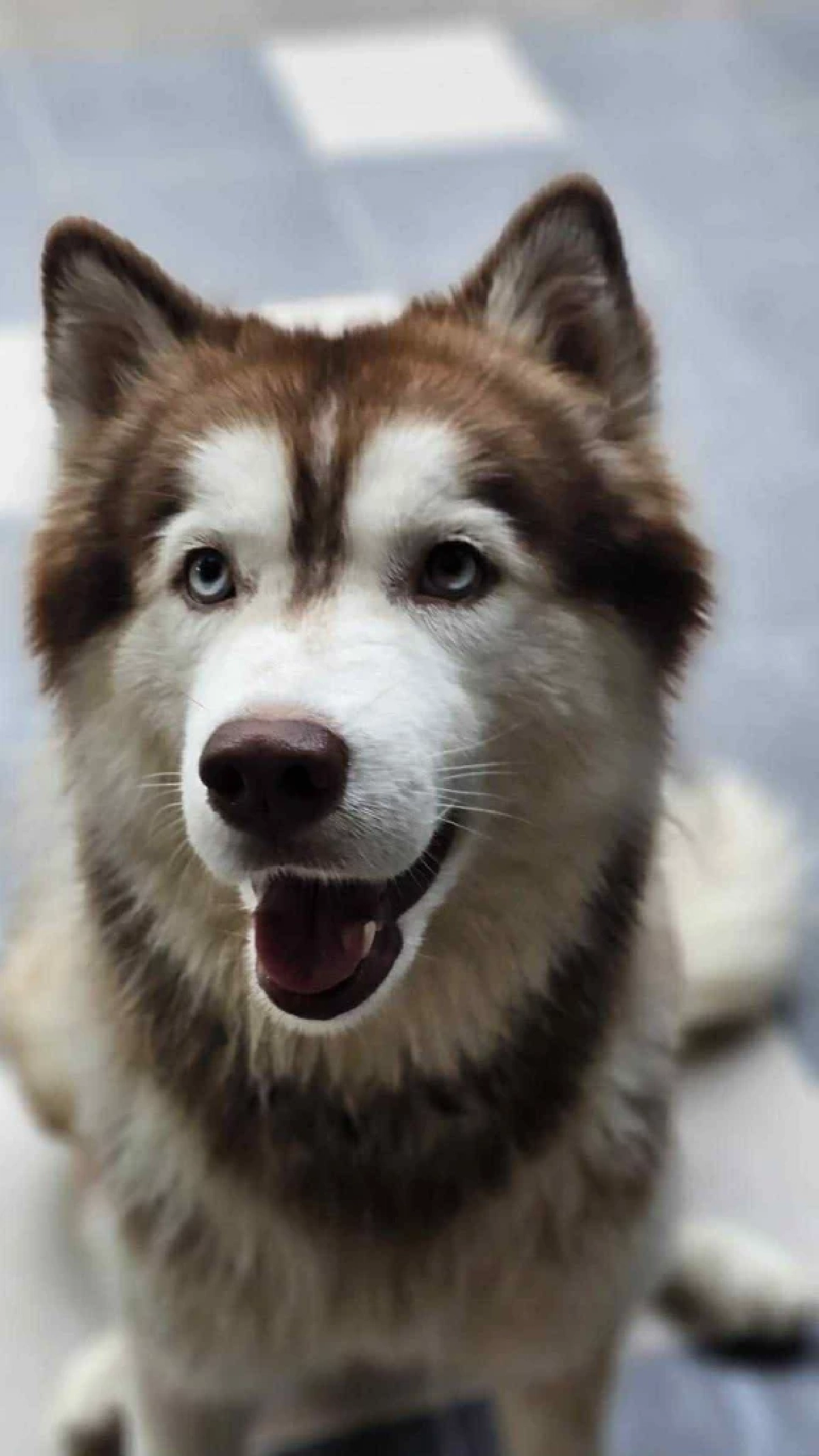 เผยอาการล่าสุด "มอลลี่" ยังน่าห่วง ล่าสุดรู้ตัวผู้ต้องสงสัยแล้ว