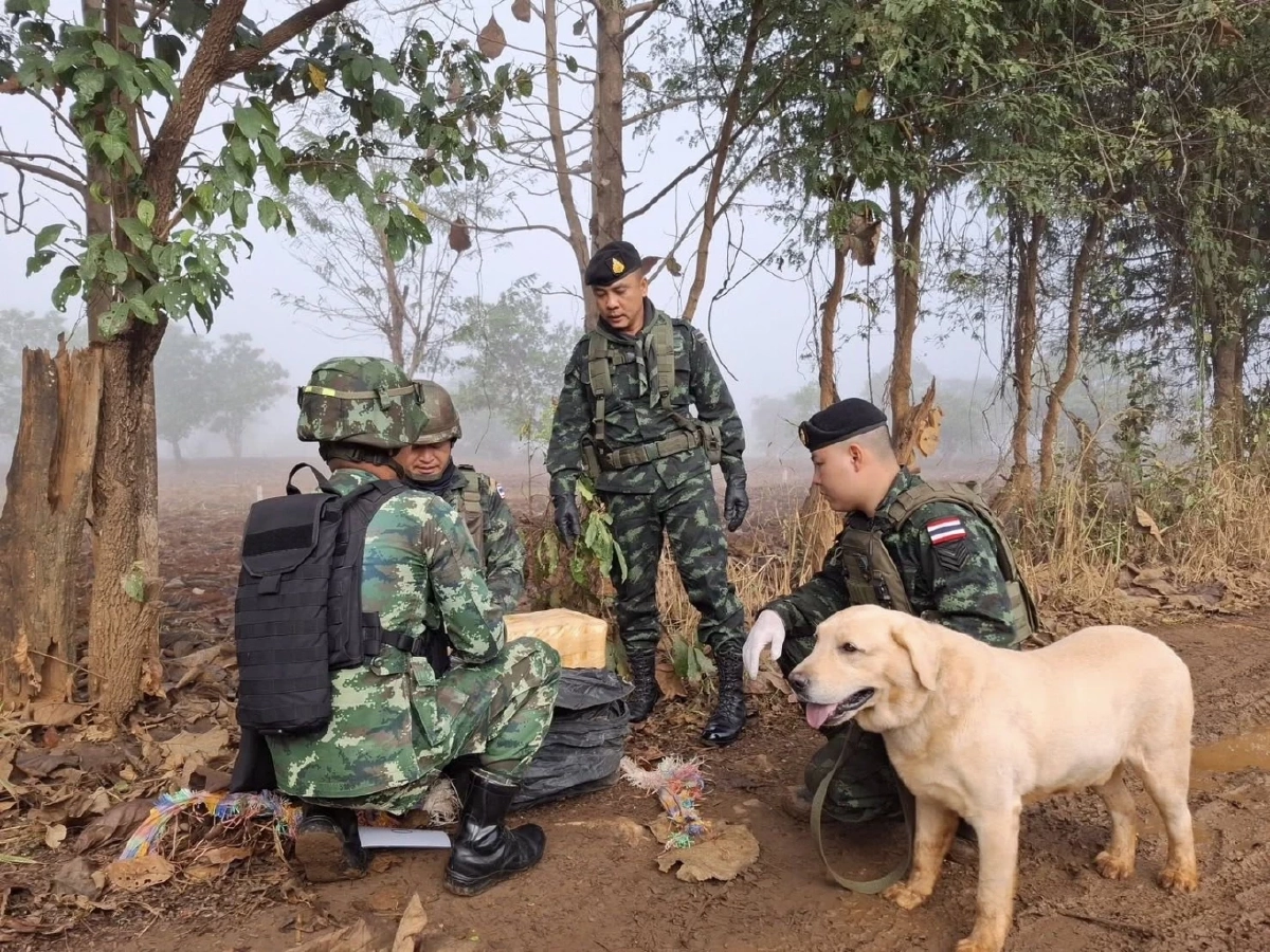 ผาเมืองสกัดขบวนการขนยา ยึดยาบ้า 5.46 ล้านเม็ด ไอซ์ 50 กก.