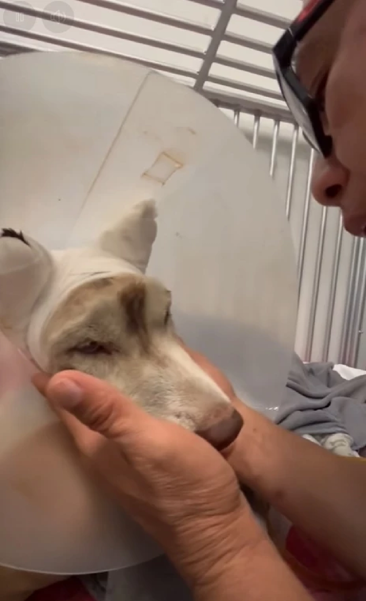 เผยอาการล่าสุด "มอลลี่" ยังน่าห่วง ล่าสุดรู้ตัวผู้ต้องสงสัยแล้ว