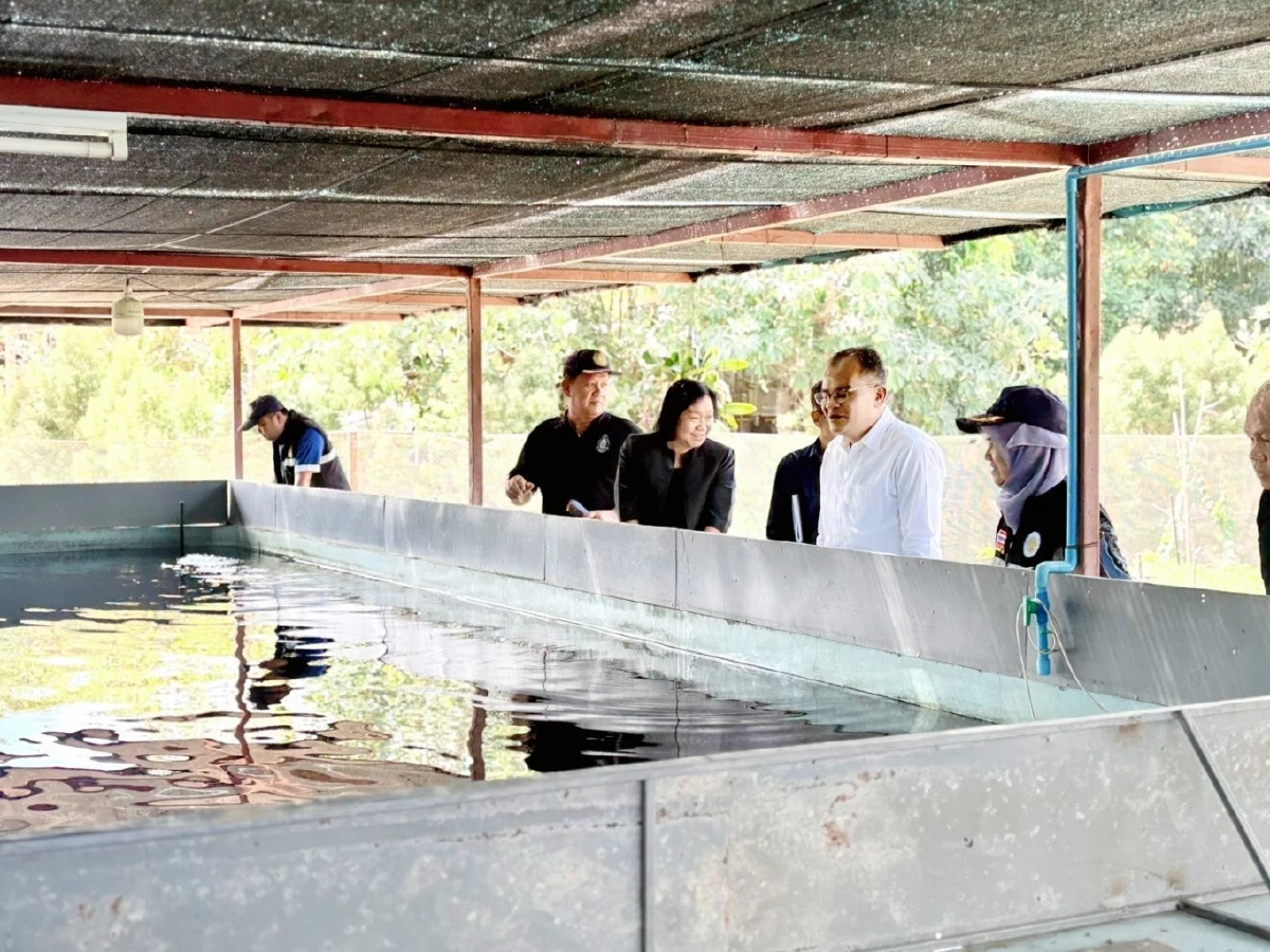 ดัน ปลาพลวงชมพู ดาวรุ่ง GI ตัวใหม่ยะลา ฟื้นเศรษฐกิจชายแดนใต้