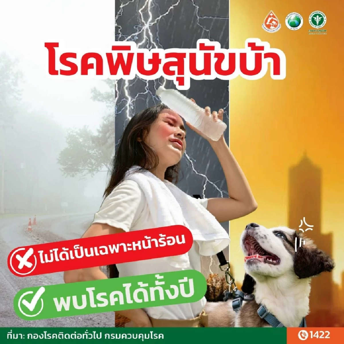 อันตรายถึงเสียชีวิต เผย "5 ย." คาถากันโรคพิษสุนัขบ้าที่ต้องรู้