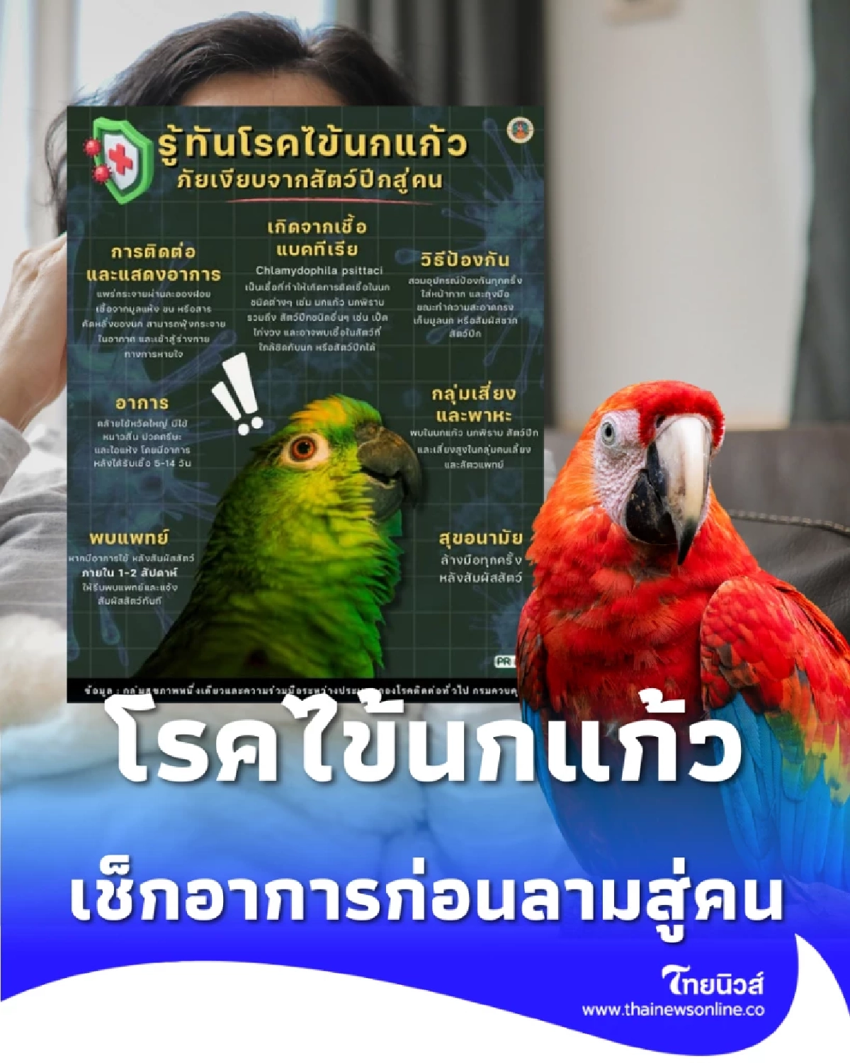 รู้จักโรคไข้นกแก้ว เชื้อร้ายใกล้ตัวที่ไม่ได้เกิดแค่กับนก เช็กอาการก่อนลามสู่คน