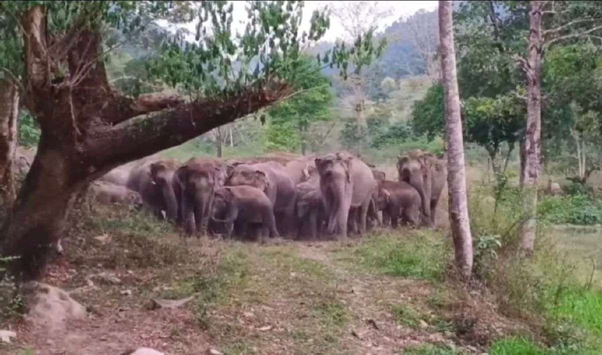 สบอ.1 รุกสร้างบ่อน้ำเขาใหญ่ แก้ปัญหาสัตว์ป่ารบกวนชุมชน