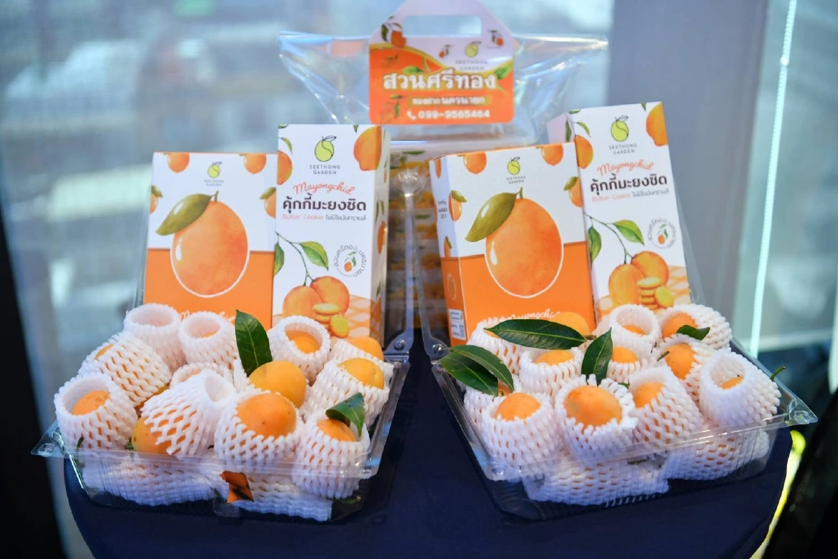 "กรมทรัพย์สินทางปัญญา"เปิดโมเดลรัฐ-เอกชน ปั้น "GI ไทย" ขยายฐานตลาดพรีเมียม