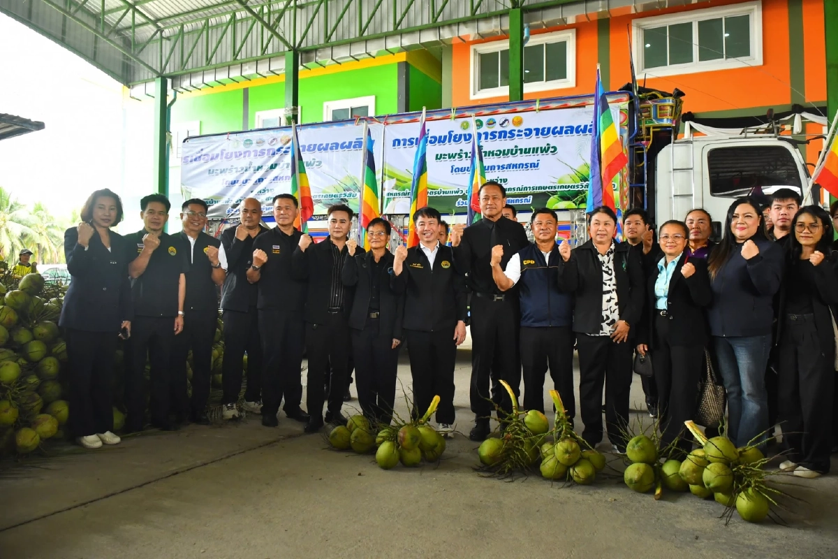 เปิดแผนกู้ราคามะพร้าวน้ำหอม เครือข่ายสหกรณ์รับซื้อ 5 บ. 1 ล้านลูก