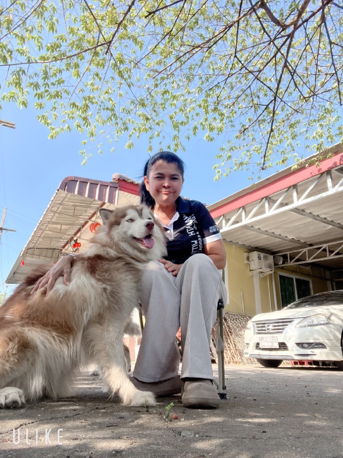 เจ้าของใหม่ เผยสาเหตุสำคัญ มอลลี่ หลุดออกจากบ้าน ก่อนเกิดเหตุสลด