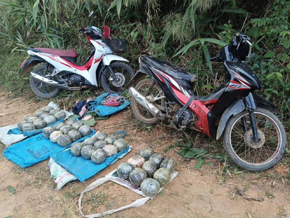 สกัดขบวนการลำเลียงยาเสพติด ยึดฝิ่นกว่า 60 กก. – ยาบ้า 10 เม็ด