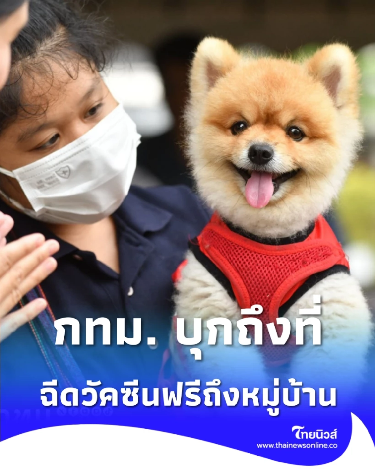 กทม. บุกถึงที่ ฉีดวัคซีน-ฝังชิปฟรีถึงหมู่บ้าน ผลตอบรับล้นหลามเกือบ 100 ตัว