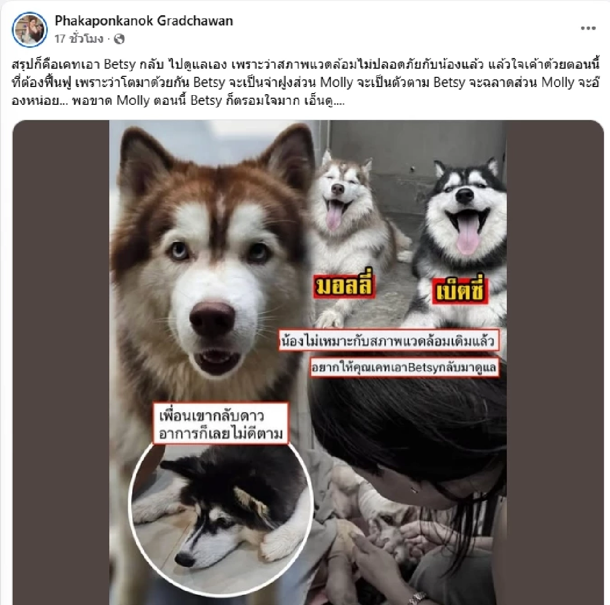 "เจ้าของเก่า" เผยสาเหตุแท้จริงต้องหาบ้านใหม่ ให้ มอลลี่-เบ็ตซี่