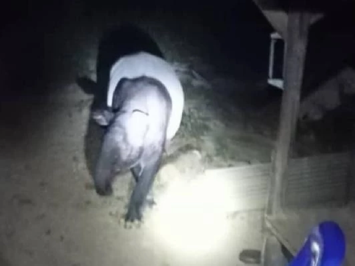 ที่มา : กรมอุทยานแห่งชาติ สัตว์ป่า และพันธุ์พืช