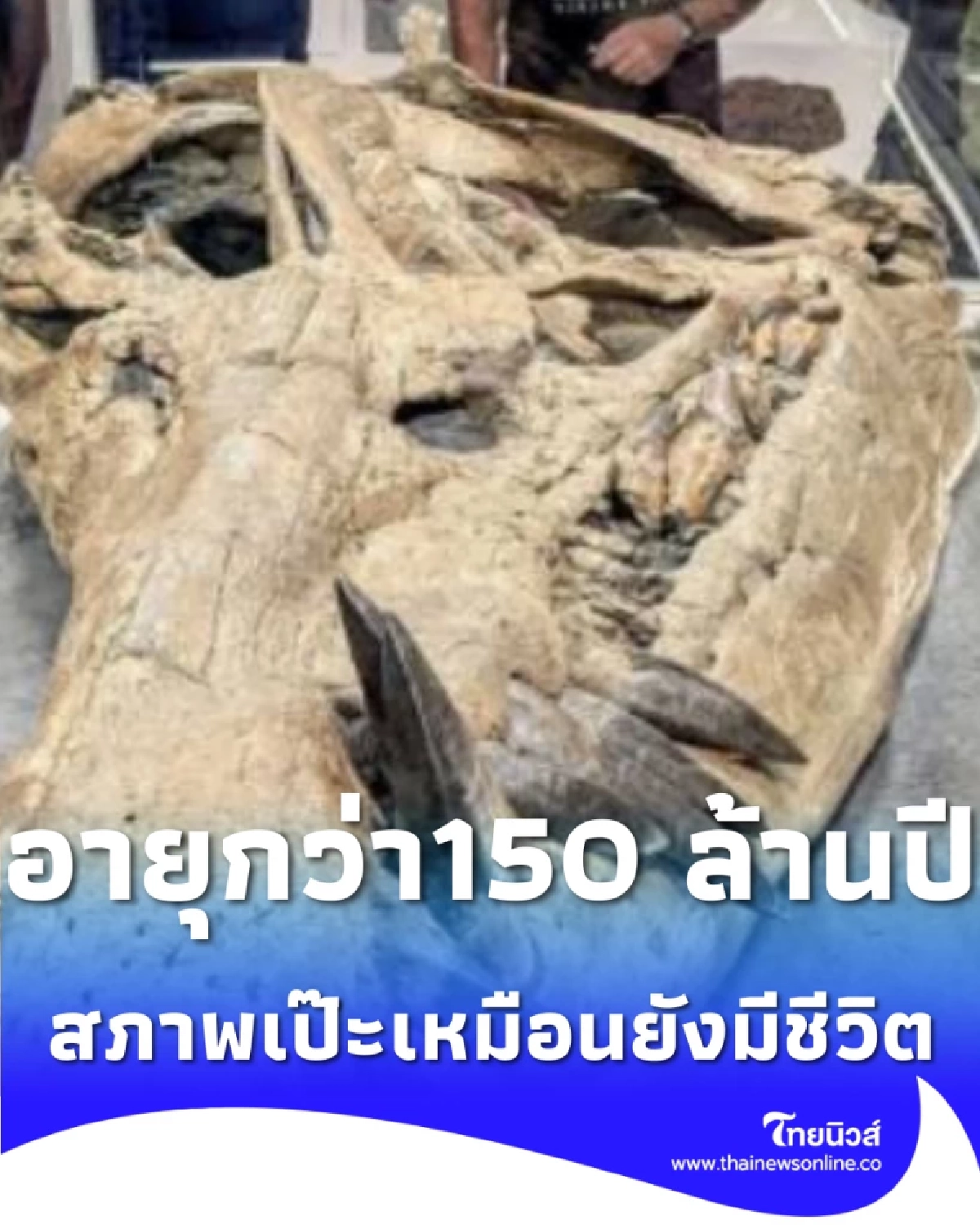 พบกะโหลก ไพลโอซอร์ ยักษ์ 150 ล้านปี สมบูรณ์ที่สุดเท่าที่เคยมีมา