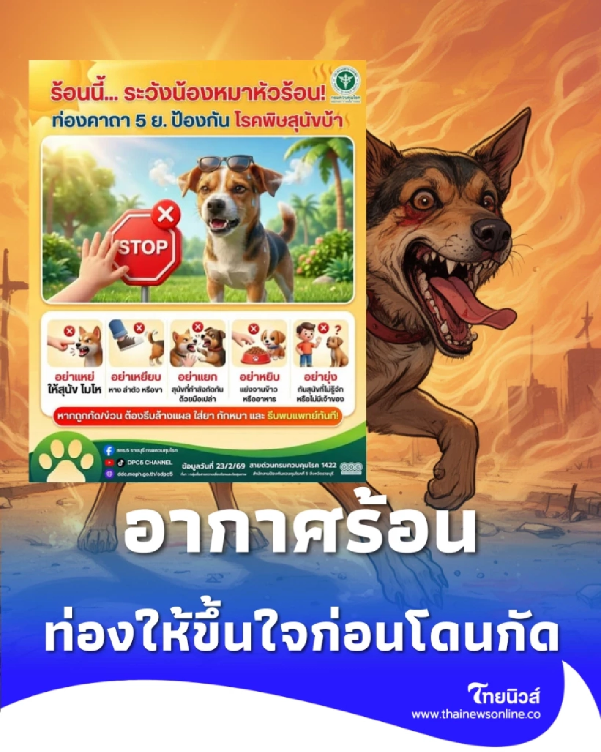 ร้อนนี้ระวังตัว เปิดคาถา 5 ย. กันโดนกัด-เลี่ยงพิษสุนัขบ้า